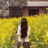 🌼春日来信 驼驼来了🦙花花开了~
