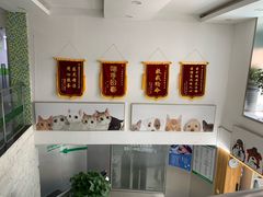 -爱侣宠医·鹦鹉专科·小型哺乳类·异宠专科(灵石路店)