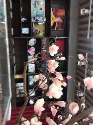 点击看大图 -素合写真摄影(合肥原创店)