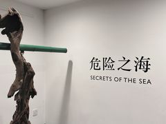 -王府半岛酒店