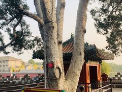 -北海公园-停车场