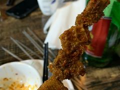 -宝山一号馕坑肉