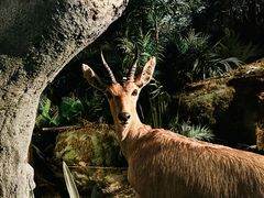 -南山博物馆