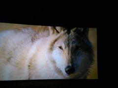 android_upload_pic-UME影城(安贞DTS:X店)