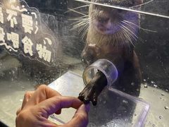 -太平洋海底世界