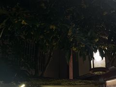 -古韵餐厅(湖畔大学店)