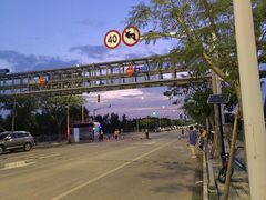 -南汇嘴观海公园