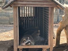 -灵玲国际马戏城