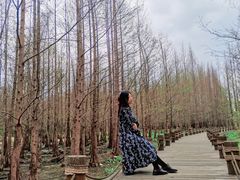 -桤木河湿地公园