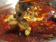 -蛙鱼道美蛙鱼自助火锅(新耍都店)