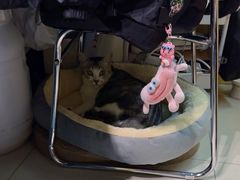 -谜盒子奇幻密室(南屏店)