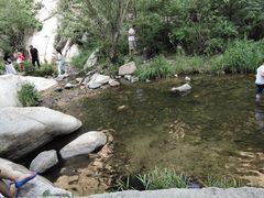 -碓臼峪自然风景区