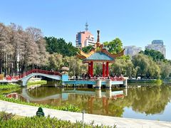 -金砂公园