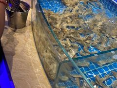 水产区-乔哥铭洋海鲜自助(皇城恒隆广场店)