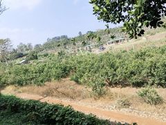 -侯臣咖啡文化村