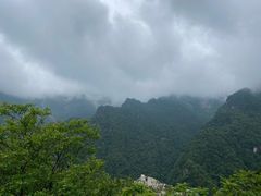 -牛背梁国家森林公园