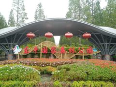 -东平国家森林公园