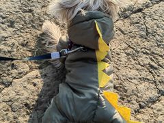 -爪吧宠物乐园 (温榆河示范区店)