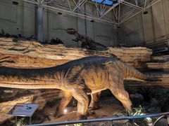 -国家自然博物馆