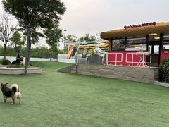 -爪吧宠物乐园 (温榆河示范区店)