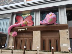 -帕帕拉兹宠物(亚洲旗舰店)