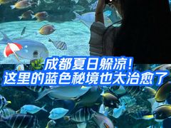 -海合安成都极地海洋公园