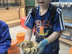 -上海大自然野生昆虫馆(东方明珠·爬宠昆虫探索中心)