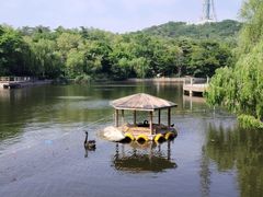 -青岛海滨风景区