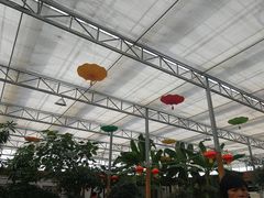 -嬉乐湾休闲旅游区