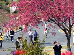 -河源客家文化公园