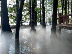 -东湖落雁景区