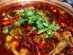-沪小二炭火蛙锅(淮海中路美食不夜城店)