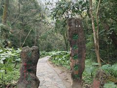 -桂林古东瀑布景区