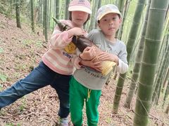 -上海佘山国家森林公园天马山园