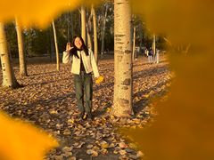 -森林公园(尖草坪区)
