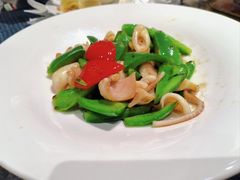 青椒炒脆卷-苏先生海鲜渔庄(金桥店)