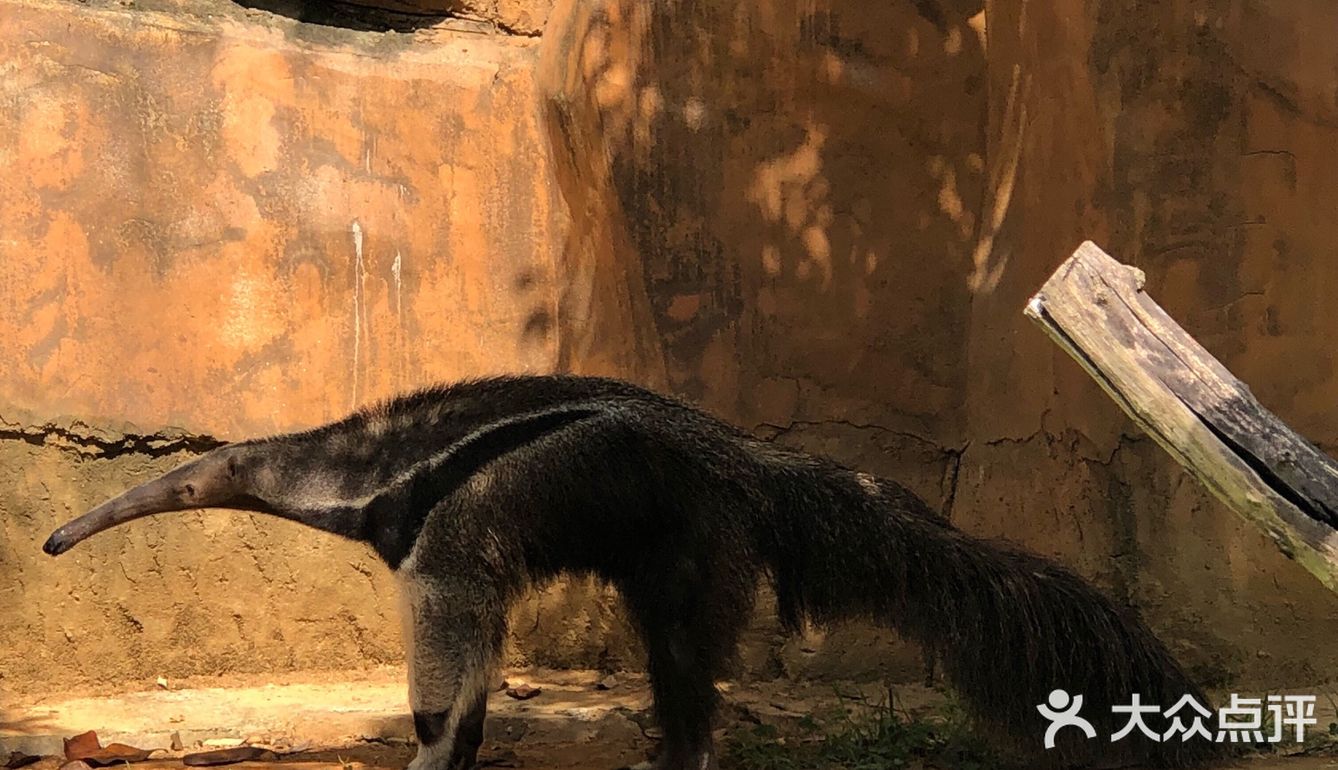 杭州旅游攻略之来杭州与野生动物亲近吧