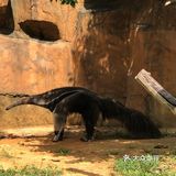 杭州旅游攻略之来杭州与野生动物亲近吧