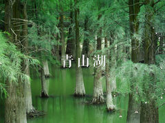 -龙坞茶村