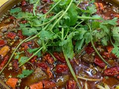 -乡土特色.冷锅鱼.牦牛肉汤锅