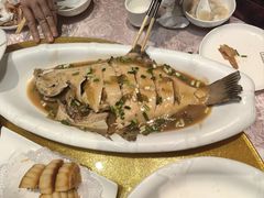 -老院子饭店·鲁菜·海鲜·家常菜