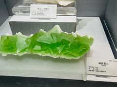 -湖南省地质博物馆