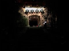 -天门沟九州驿站树上汤泉