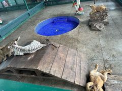 -秦皇岛野生动物园