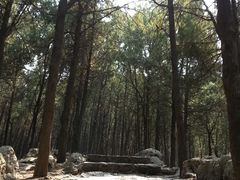 -云龙山