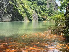 -楠溪江风景名胜区