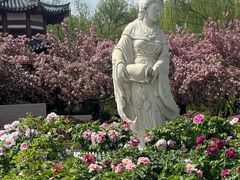 -洛阳市隋唐城遗址植物园