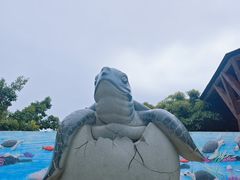 -广东惠东海龟国家级自然保护区