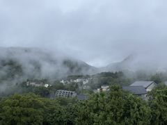 -雕刻之森美术馆