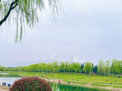 -洨河生态公园